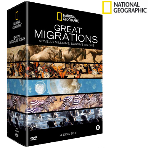 One Day Only - National Geographic, Great Migrations One Day Only - National Geographic, Great Migrations