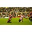 One Day Only - Voetbalreis Sunderland – Norwich City One Day Only - Voetbalreis Sunderland – Norwich City