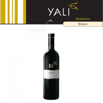 One Day Only - Yali Syrah Reserva 2004 Rode Wijn