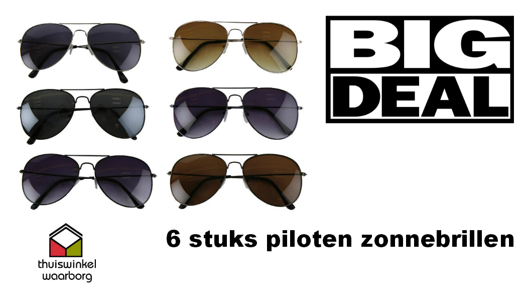 One Day Price - 6 x piloten zonnebrillen