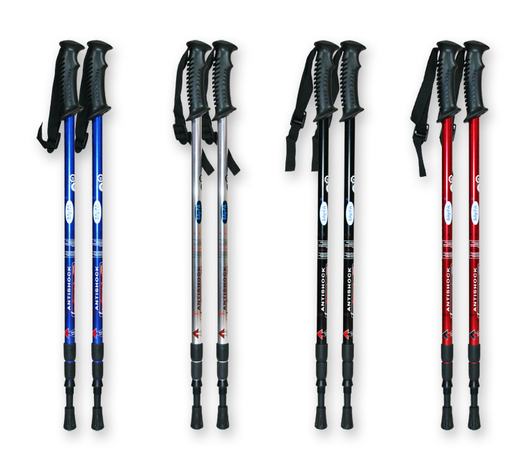 One Day Price - Nordic walking set