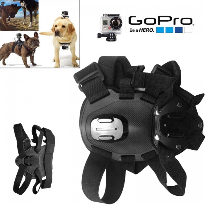 Price Attack - Gopro Dog Fetch Mount Price Attack - Gopro Dog Fetch Mount