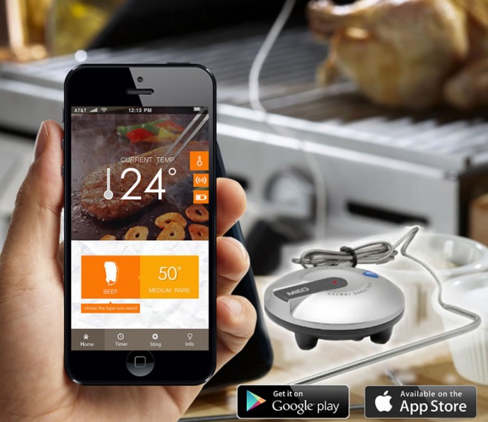 Price Attack - Smartphone Bbq Thermometer Price Attack - Smartphone Bbq Thermometer