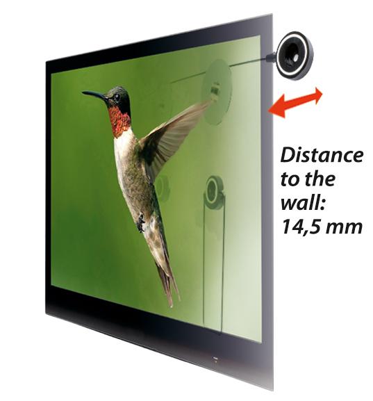 Seal de Deal - Led tv muurbeugel Seal de Deal - Led tv muurbeugel