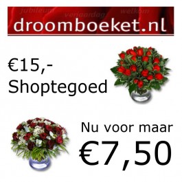 Super Dagdeal - Moederdag Droomboeket Shoptegoed