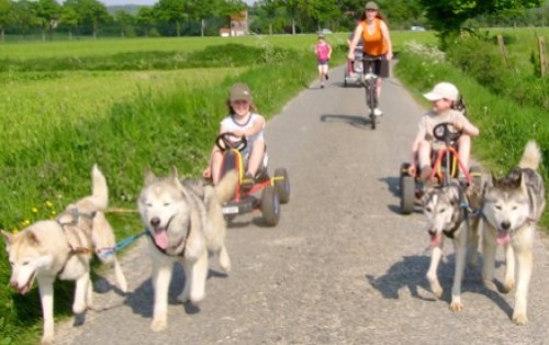 Super Dagdeal - Romantische fakkeltocht met huskyhonden op het strand aan de Zeeuwse kust Super Dagdeal - Romantische fakkeltocht met huskyhonden op het strand aan de Zeeuwse kust
