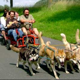 Super Dagdeal - Verras je vriend/vriendin met een Huskytocht + overnachting in een tipi Super Dagdeal - Verras je vriend/vriendin met een Huskytocht + overnachting in een tipi