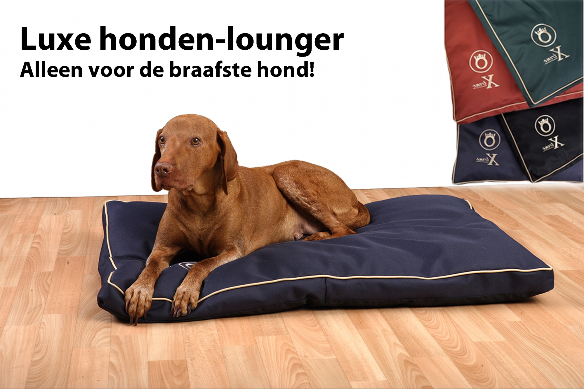 Today's Best Deal - De Posh X-treme Lounger (blauw) Today's Best Deal - De Posh X-treme Lounger (blauw)