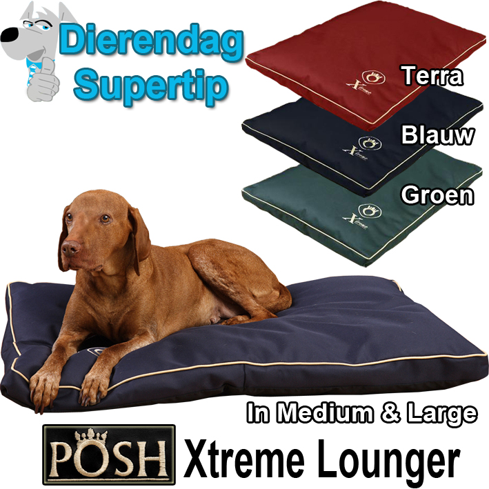 Today's Best Deal - Posh Exteme Hondenlounger Today's Best Deal - Posh Exteme Hondenlounger