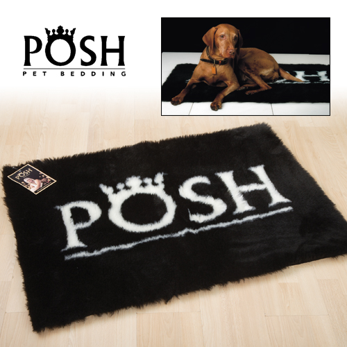 Today's Best Deal - Posh Honden Lounger Today's Best Deal - Posh Honden Lounger