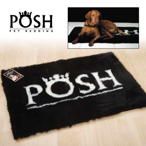 Today's Best Deal - Posh Honden Lounger