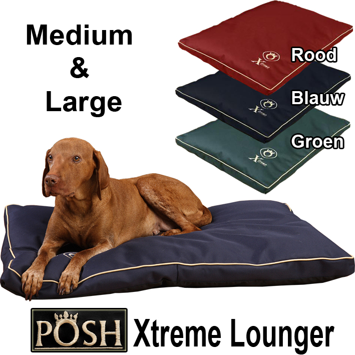 Today's Best Deal - Posh Xtreme Lounger Today's Best Deal - Posh Xtreme Lounger