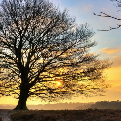 TravelBird - 4*-landgoedhotel Veluwe TravelBird - 4*-landgoedhotel Veluwe