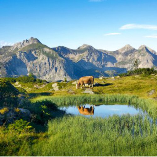 TravelBird - 8 dagen All-in Oostenrijk TravelBird - 8 dagen All-in Oostenrijk