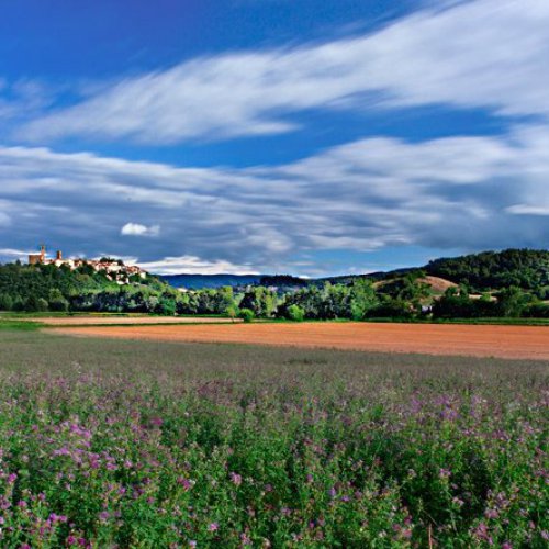 TravelBird - 8 dagen Toscane TravelBird - 8 dagen Toscane