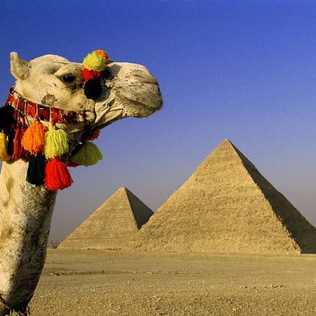 TravelBird - 8-daagse Nijlcruise Egypte op een 5-sterrenboot vanaf slechts €299,- o.b.v. volpension!