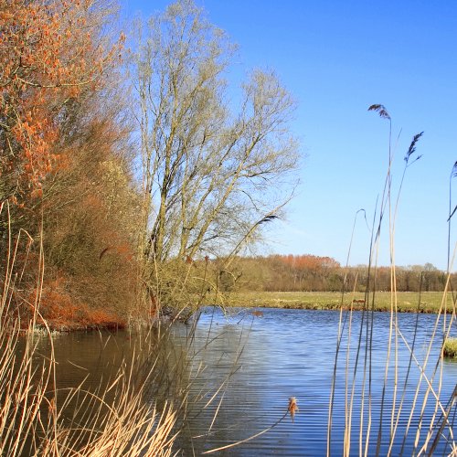 TravelBird - Biesbosch met boottocht TravelBird - Biesbosch met boottocht