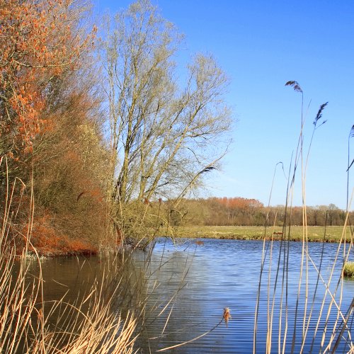 TravelBird - Biesbosch met boottocht