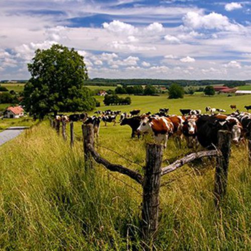 TravelBird - Bourgondisch Limburg TravelBird - Bourgondisch Limburg
