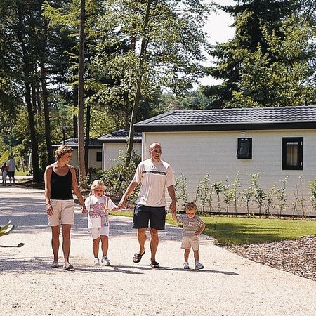 TravelBird - Complete minivakantie op de Veluwe, Bospark De Schaapskooi