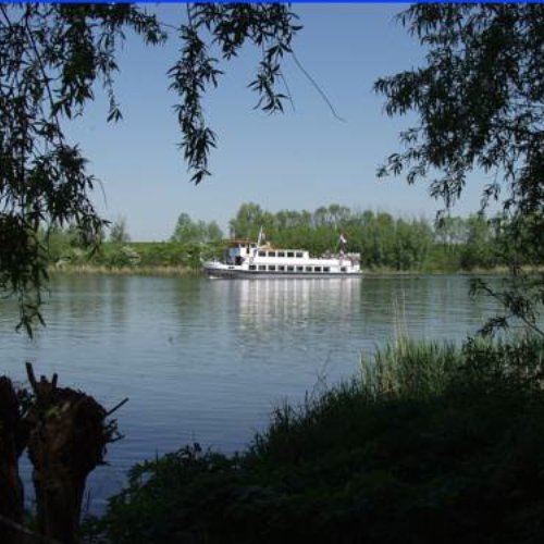 TravelBird - De Biesbosch TravelBird - De Biesbosch