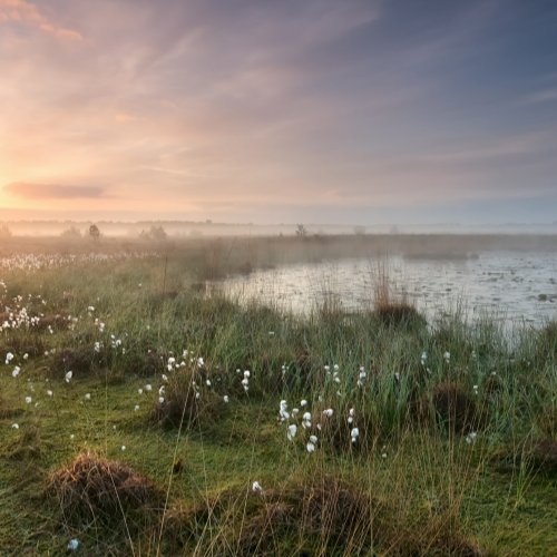 TravelBird - De Brabantse Kempen TravelBird - De Brabantse Kempen