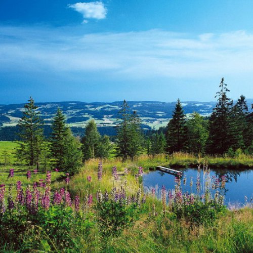 TravelBird - De magie van het Beierse Woud TravelBird - De magie van het Beierse Woud