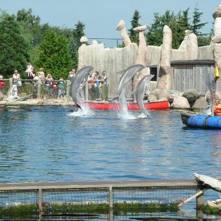 TravelBird - Dolfinarium arrangement met overnachting, Best Western Hotel Baars TravelBird - Dolfinarium arrangement met overnachting, Best Western Hotel Baars