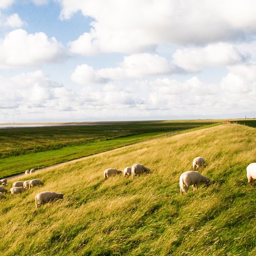 TravelBird - Duitse Waddenkust