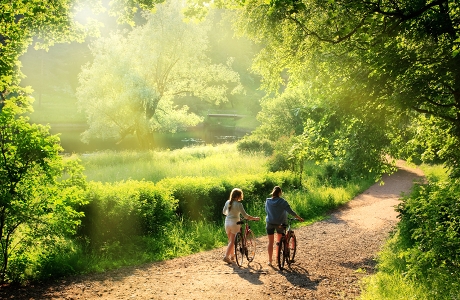 TravelBird - Ga toch fietsen! Geniet van de Veluwe met 2 dagen fietshuur, ontbijt, bubbels en 3-gangendiner voor €69,- p.p!