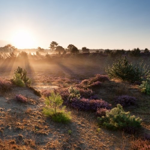 TravelBird - Halfpension in Drenthe TravelBird - Halfpension in Drenthe