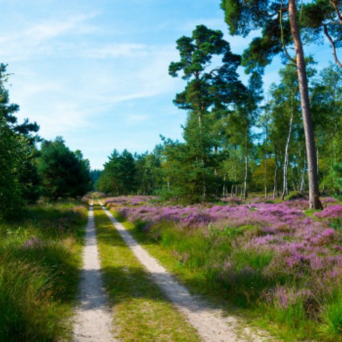 TravelBird - Hotel op Utrechtse Heuvelrug TravelBird - Hotel op Utrechtse Heuvelrug