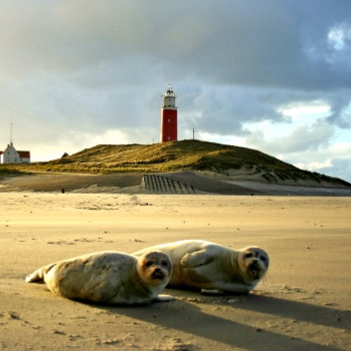 TravelBird - Hotel Texel