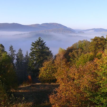 TravelBird - Kom 3 dagen ontspannen in de Belgische Ardennen met superior kamer, ontbijt en bier- en kaasproeverij voor maar €59,- p.p.