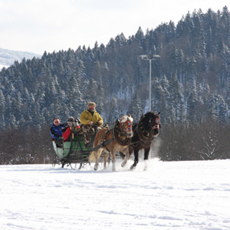 TravelBird - Mini(ski)vakantie Duitsland, Vakantiepark Lindenberg