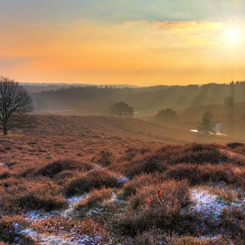 TravelBird - Natuurpracht op de Veluwe