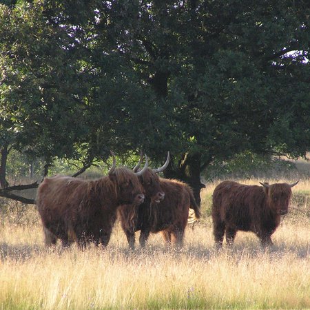 TravelBird - Overnacht 2x in een viersterrenhotel in de Kop van Drenthe met ontbijt en wellness voor €49,- p.p.! TravelBird - Overnacht 2x in een viersterrenhotel in de Kop van Drenthe met ontbijt en wellness voor €49,- p.p.!