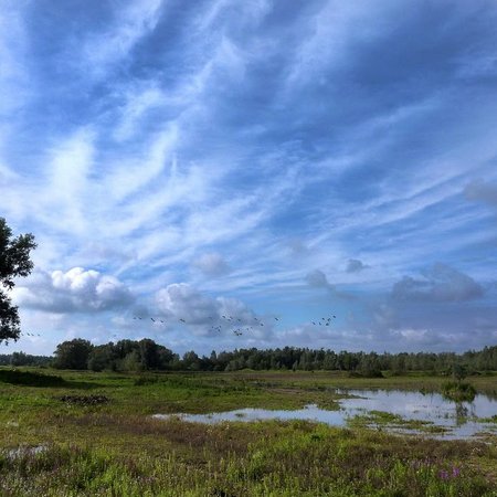 TravelBird - Prachtig Berg en Dal, Landgoedhotel - Holthurnsche Hof**** TravelBird - Prachtig Berg en Dal, Landgoedhotel - Holthurnsche Hof****