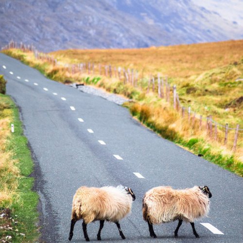 TravelBird - Rondreis Ierland TravelBird - Rondreis Ierland