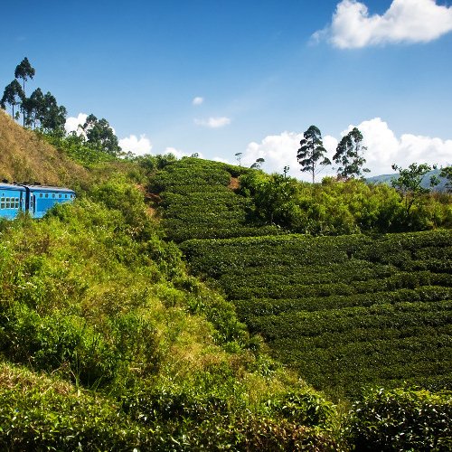 TravelBird - Rondreis Sri Lanka TravelBird - Rondreis Sri Lanka