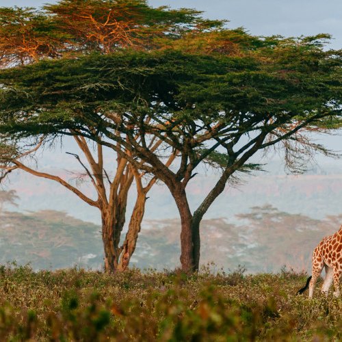 TravelBird - Rondreis Zuid-Afrika TravelBird - Rondreis Zuid-Afrika