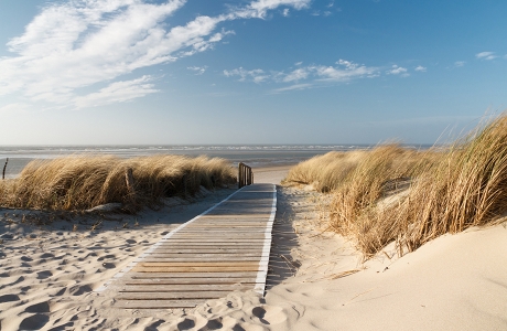 TravelBird - Snuif de zilte zeelucht op tijdens een 3-daags verblijf op Waddeneiland Texel inclusief ontbijt en koffie met lekkernij va. €89,- p.p.