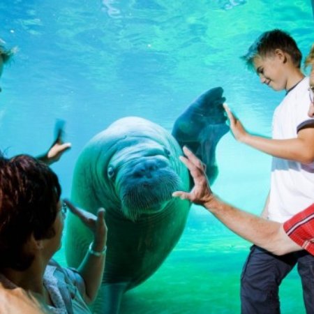 TravelBird - Spetteren in Dolfinarium, Best Western Hotel Baars**** TravelBird - Spetteren in Dolfinarium, Best Western Hotel Baars****