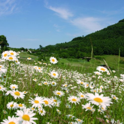 TravelBird - Sprookjesachtig Sauerland