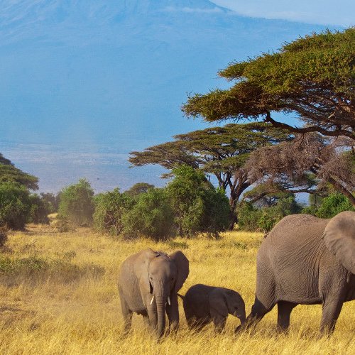 TravelBird - Tanzania & Zanzibar TravelBird - Tanzania & Zanzibar