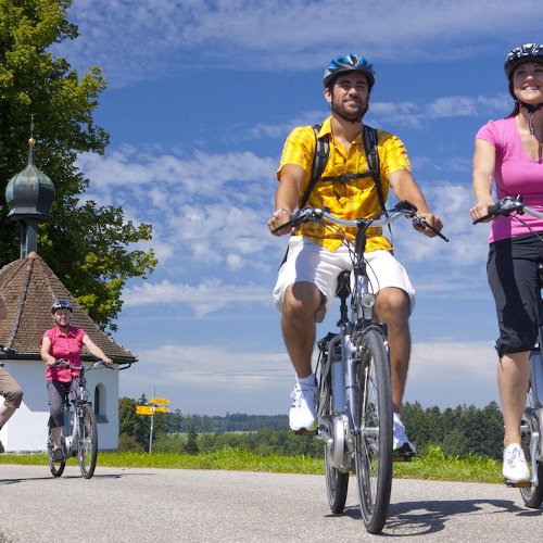 TravelBird - Tirol per e-bike