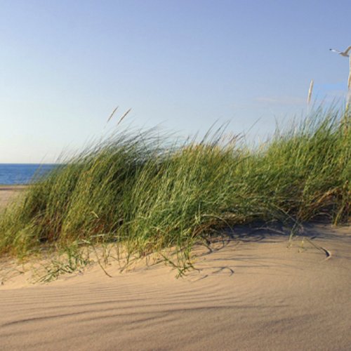 TravelBird - Uitwaaien aan het strand TravelBird - Uitwaaien aan het strand