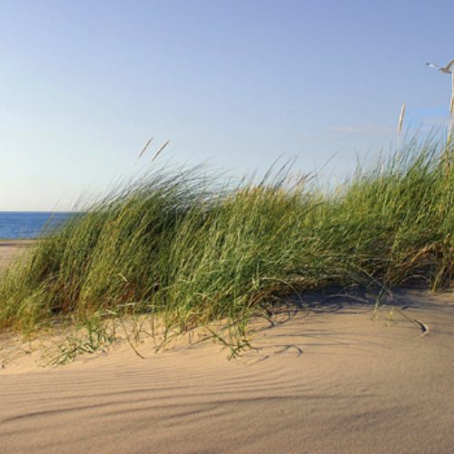 TravelBird - Uitwaaien aan het strand