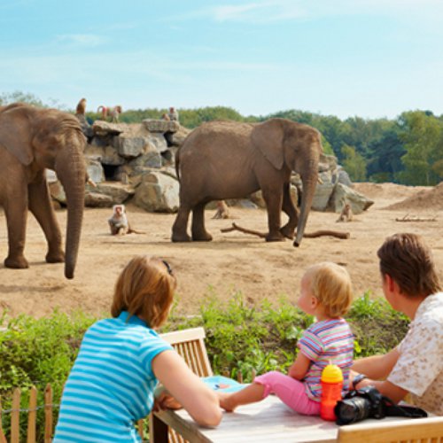 TravelBird - Vakantiepark Beekse Bergen TravelBird - Vakantiepark Beekse Bergen