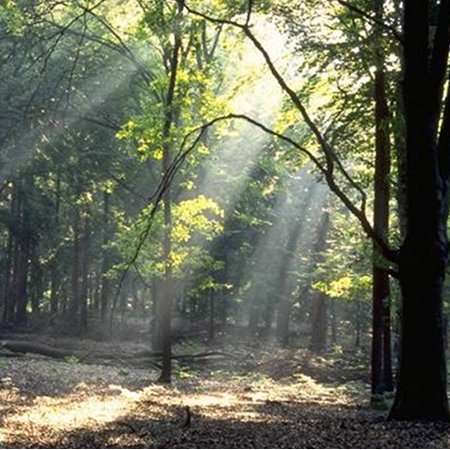 TravelBird - Vandaag: Toe aan een summerbreak? Bezoek de Veluwe en overnacht 2x  in Bilderberg Hotel de Buunderkamp voor €69,- p.p.